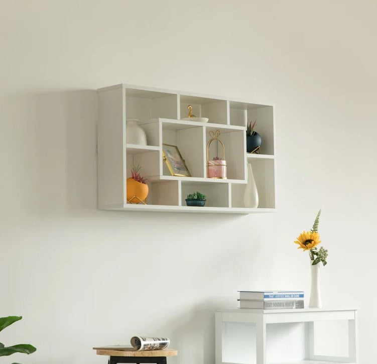 Allesia Multipurpose Wall Shelf Display Rack