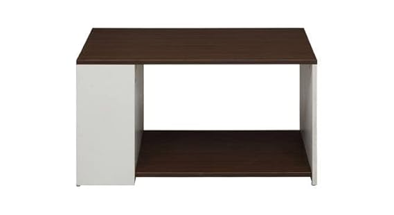 Estella Modern Coffee Table with Storage, Centre Table, Teapoy for Living Room