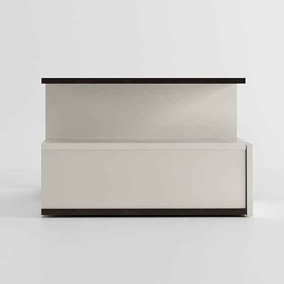 Livik Modern Coffee Table with Storage, Centre Table, Teapoy for Living Room