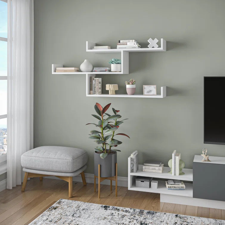 Orten Multipurpose Wall Shelf Display Rack