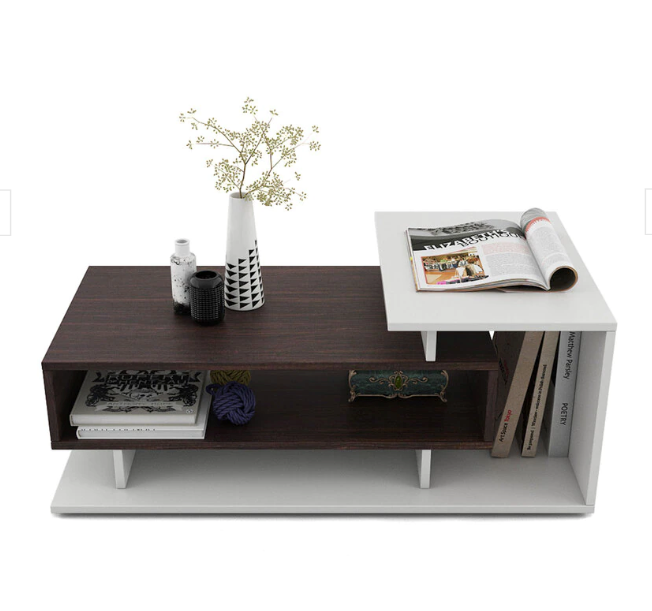 Fabelio Modern Coffee Table with Storage, Centre Table, Teapoy for Living Room