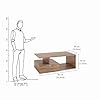 Livik Modern Coffee Table with Storage, Centre Table, Teapoy for Living Room