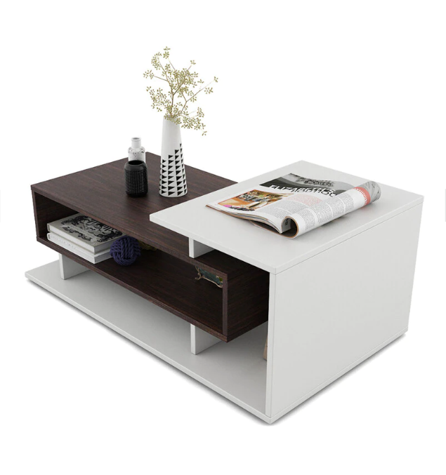 Fabelio Modern Coffee Table with Storage, Centre Table, Teapoy for Living Room