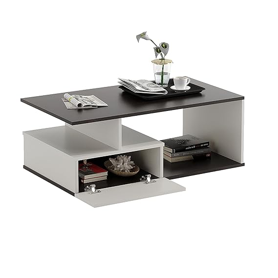 Livik Modern Coffee Table with Storage, Centre Table, Teapoy for Living Room