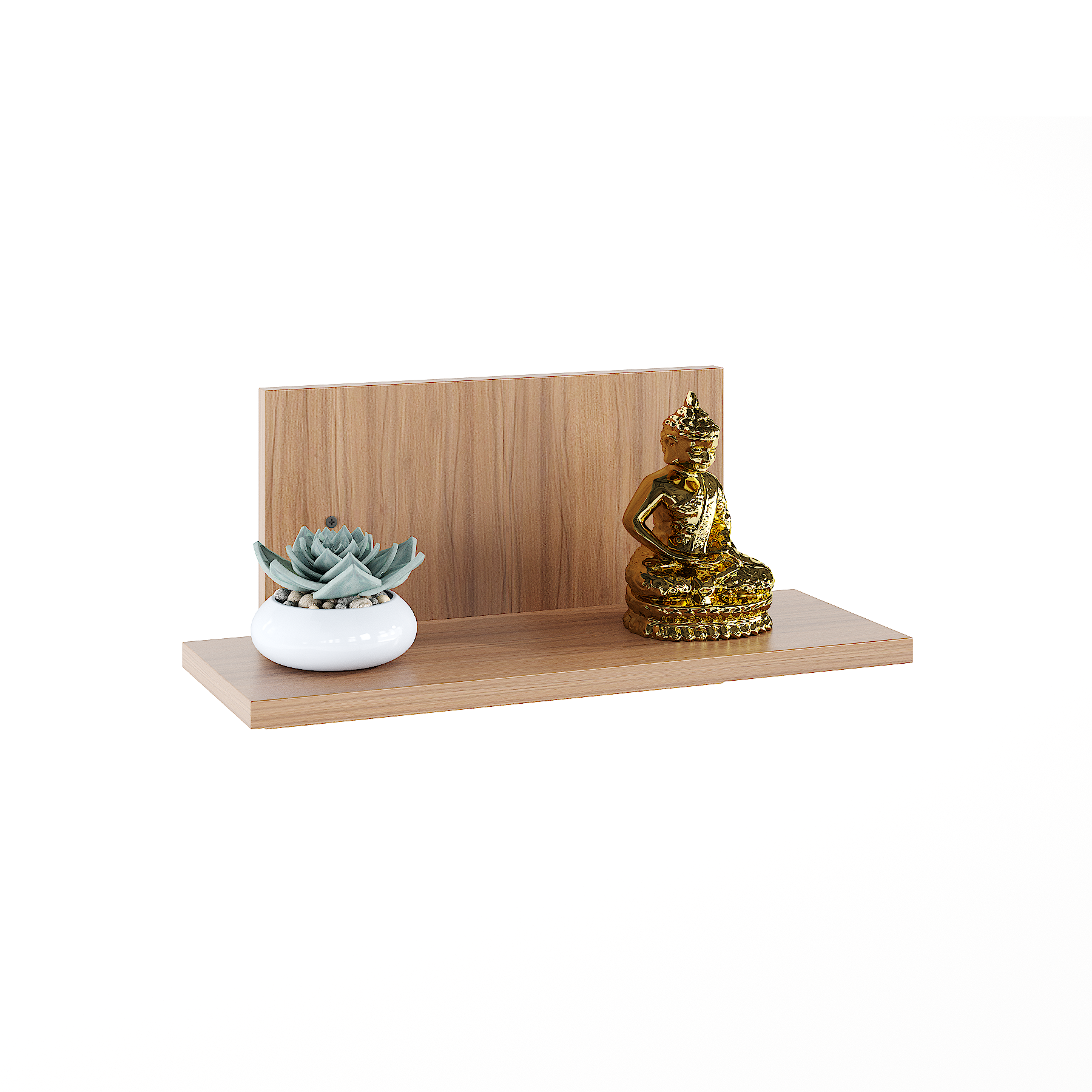 Riyasa Multipurpose Wall Shelf Display Rack