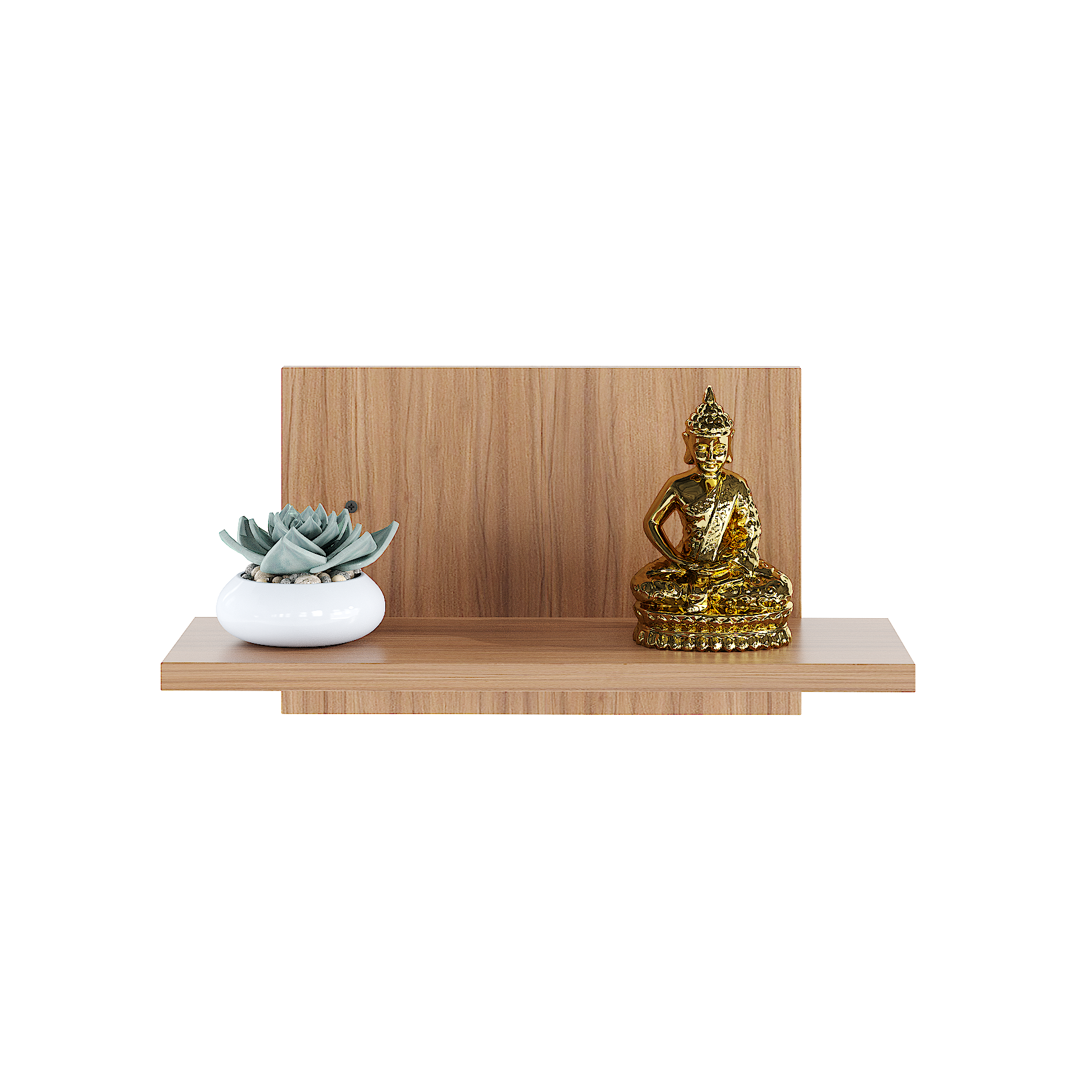 Riyasa Multipurpose Wall Shelf Display Rack