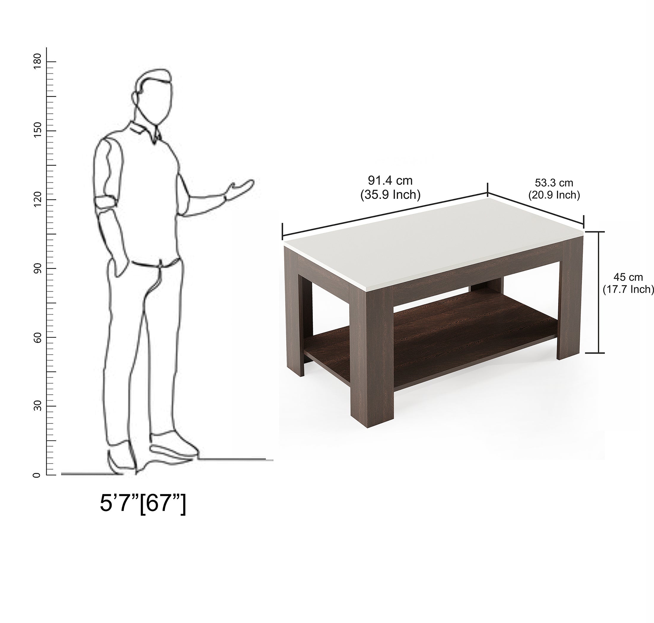 Anayara Modern Coffee Table with Storage, Centre Table, Teapoy for Living Room