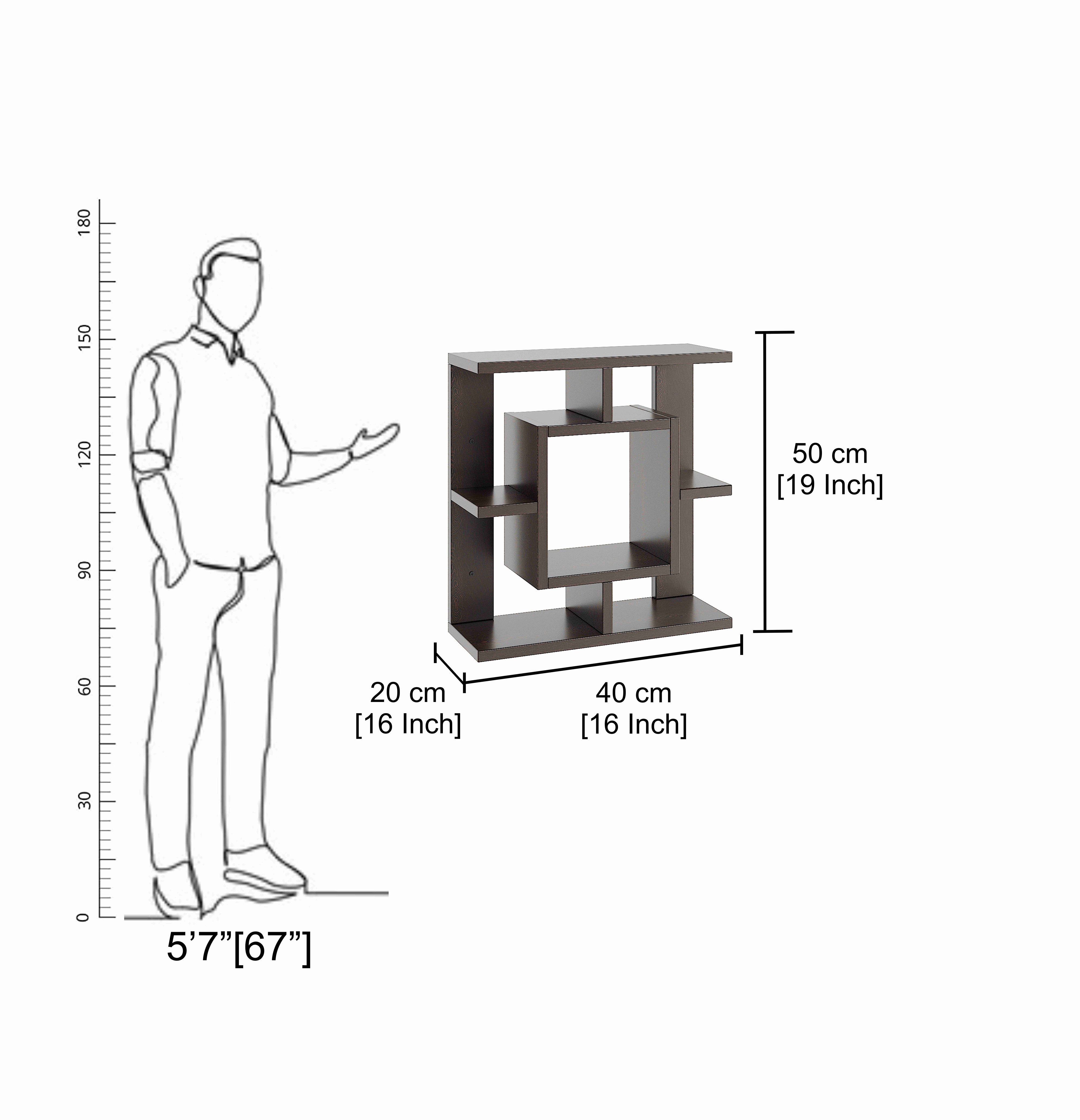 Catwell Multipurpose Wall Shelf Display Rack