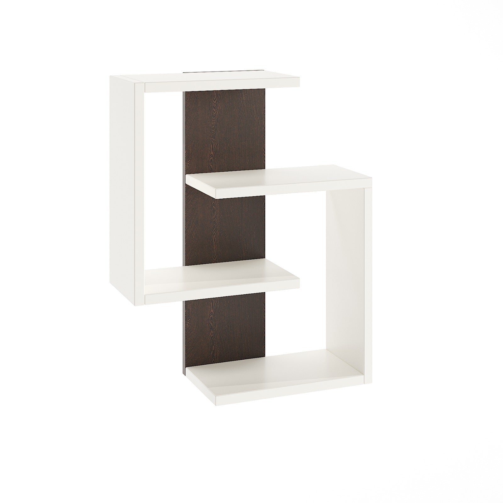 Adya Multipurpose Wall Shelf Display Rack