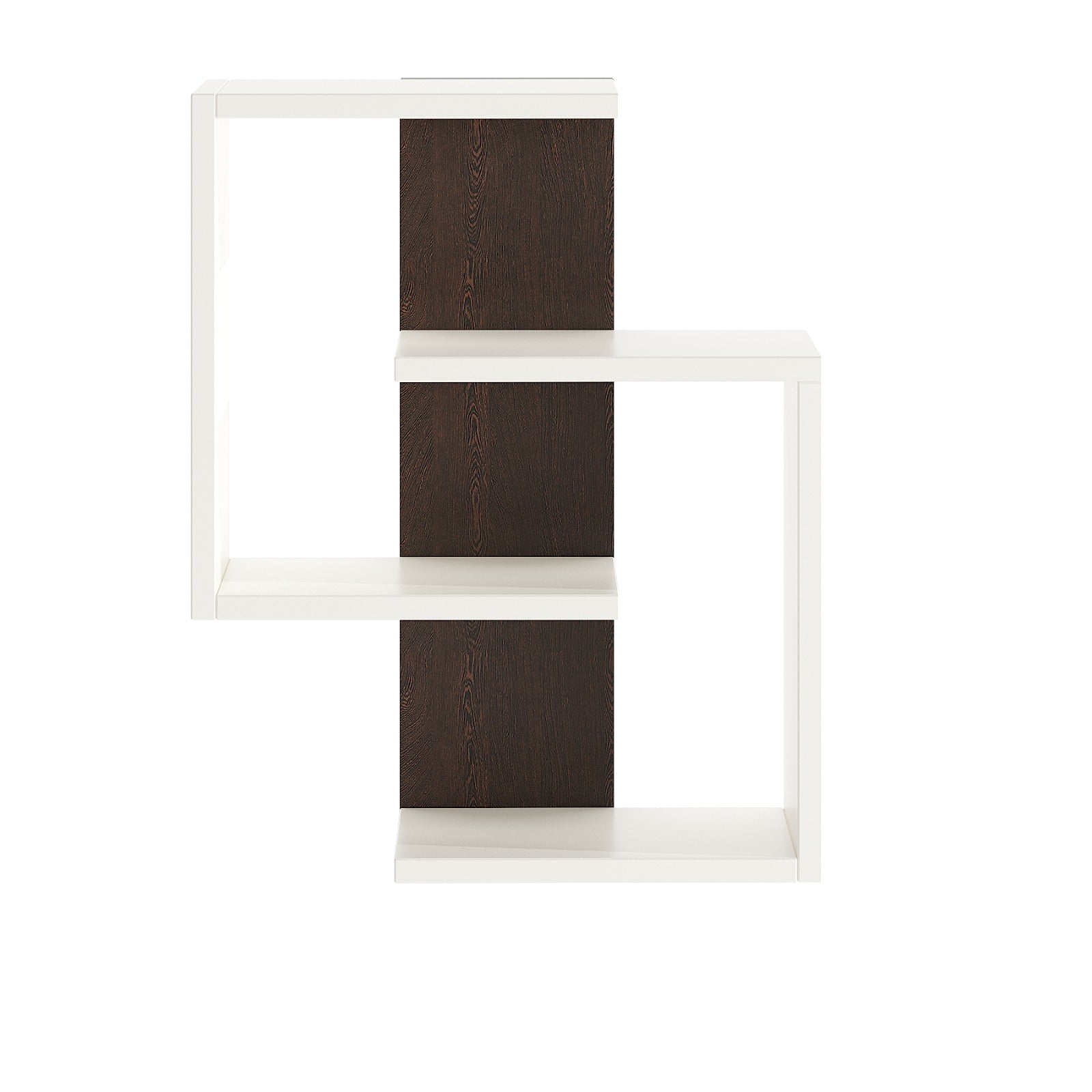 Adya Multipurpose Wall Shelf Display Rack