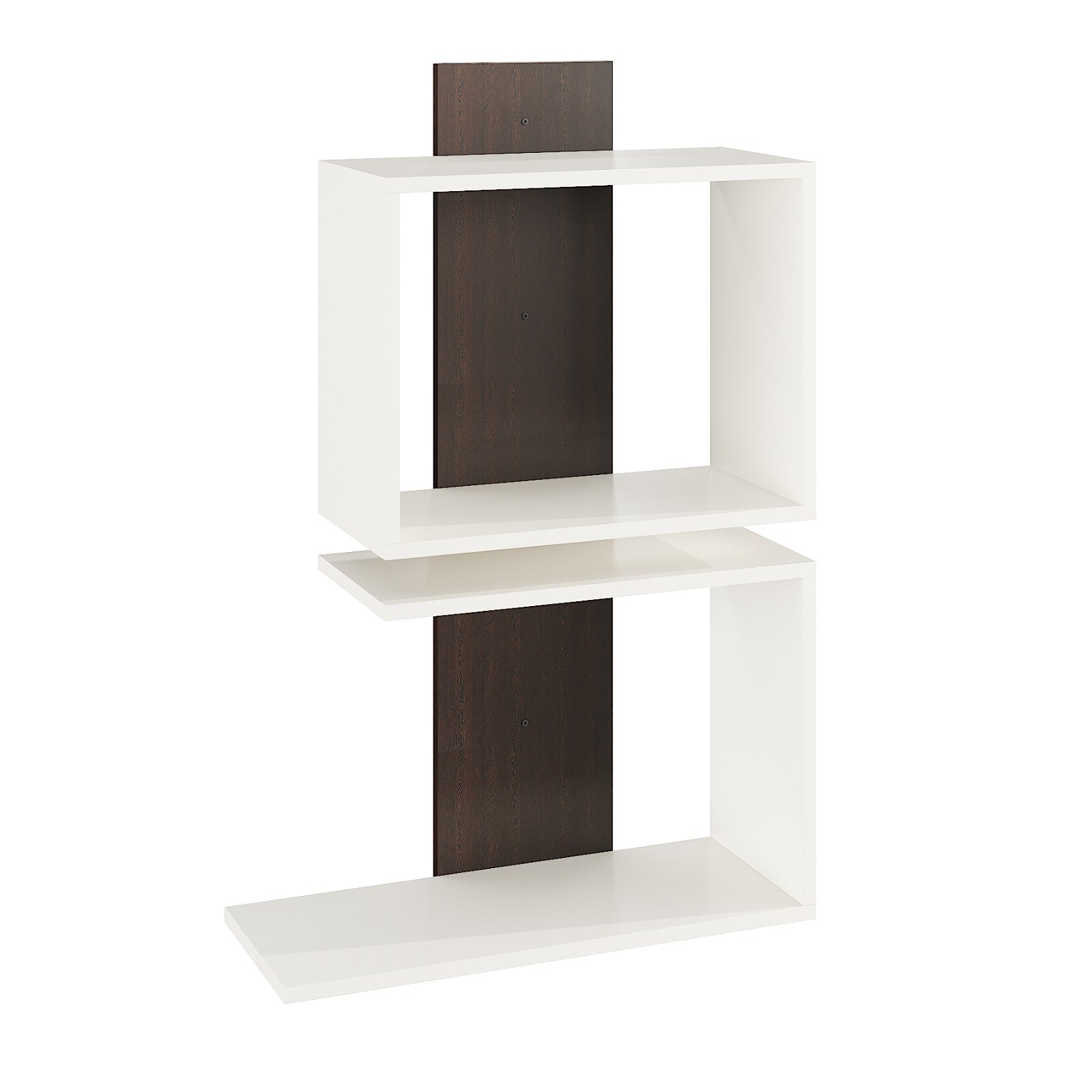 Kevin Multipurpose Wall Shelf Display Rack