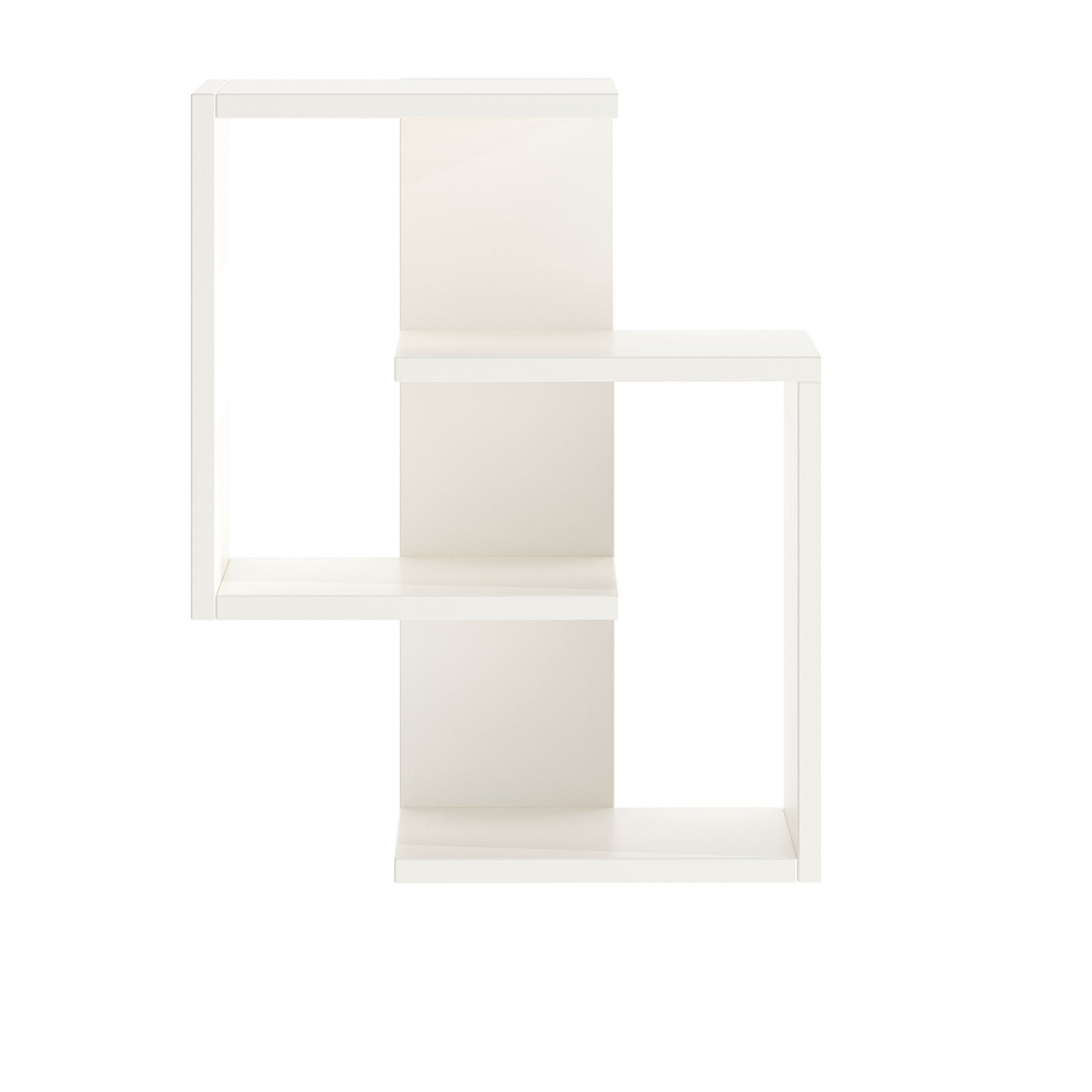 Adya Multipurpose Wall Shelf Display Rack