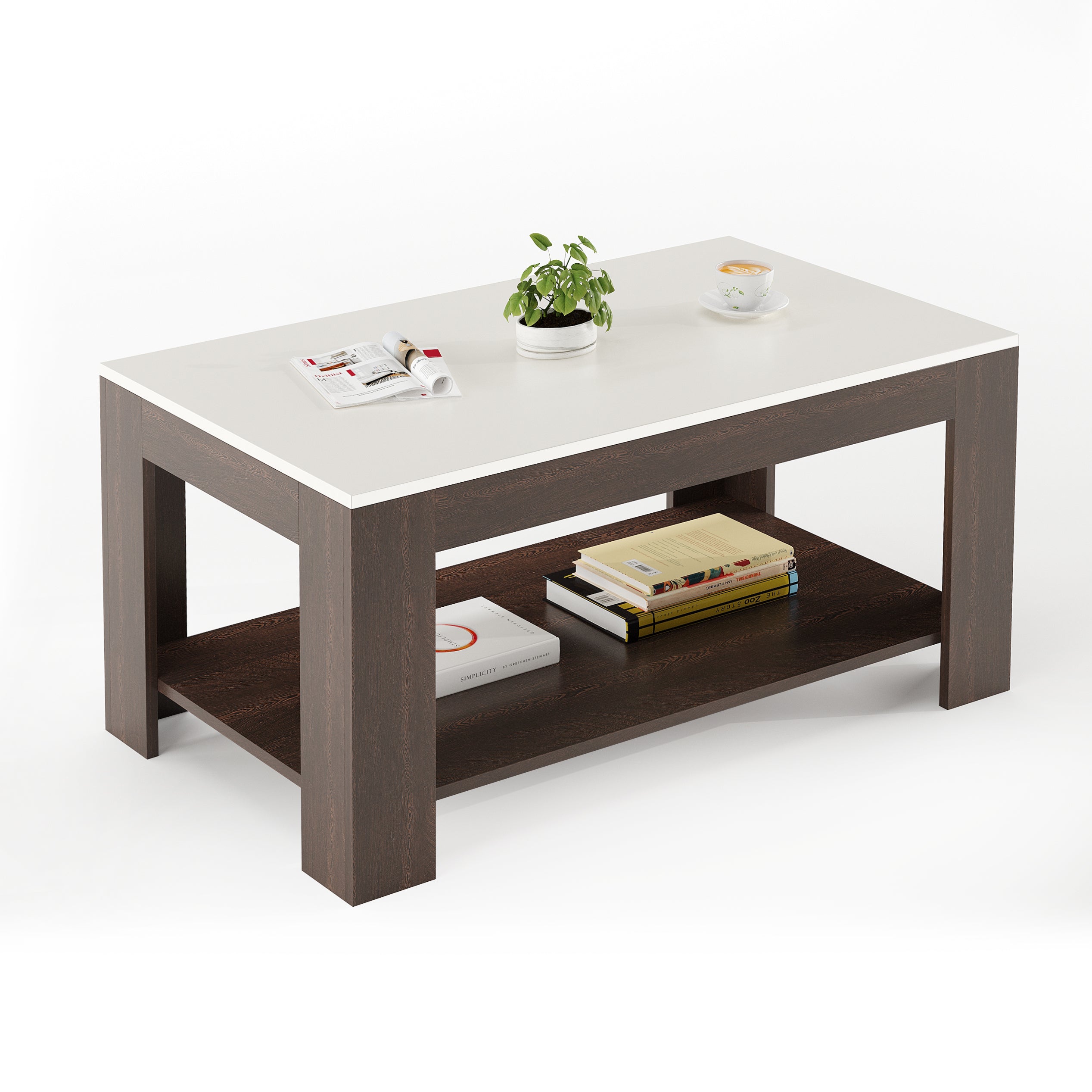 Anayara Modern Coffee Table with Storage, Centre Table, Teapoy for Living Room