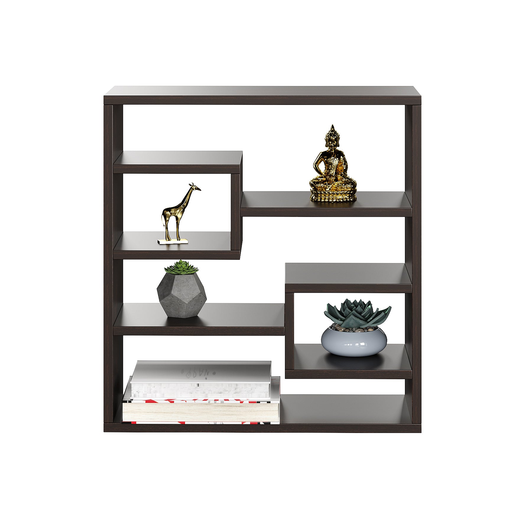 Navya Multipurpose Wall Shelf Display Rack