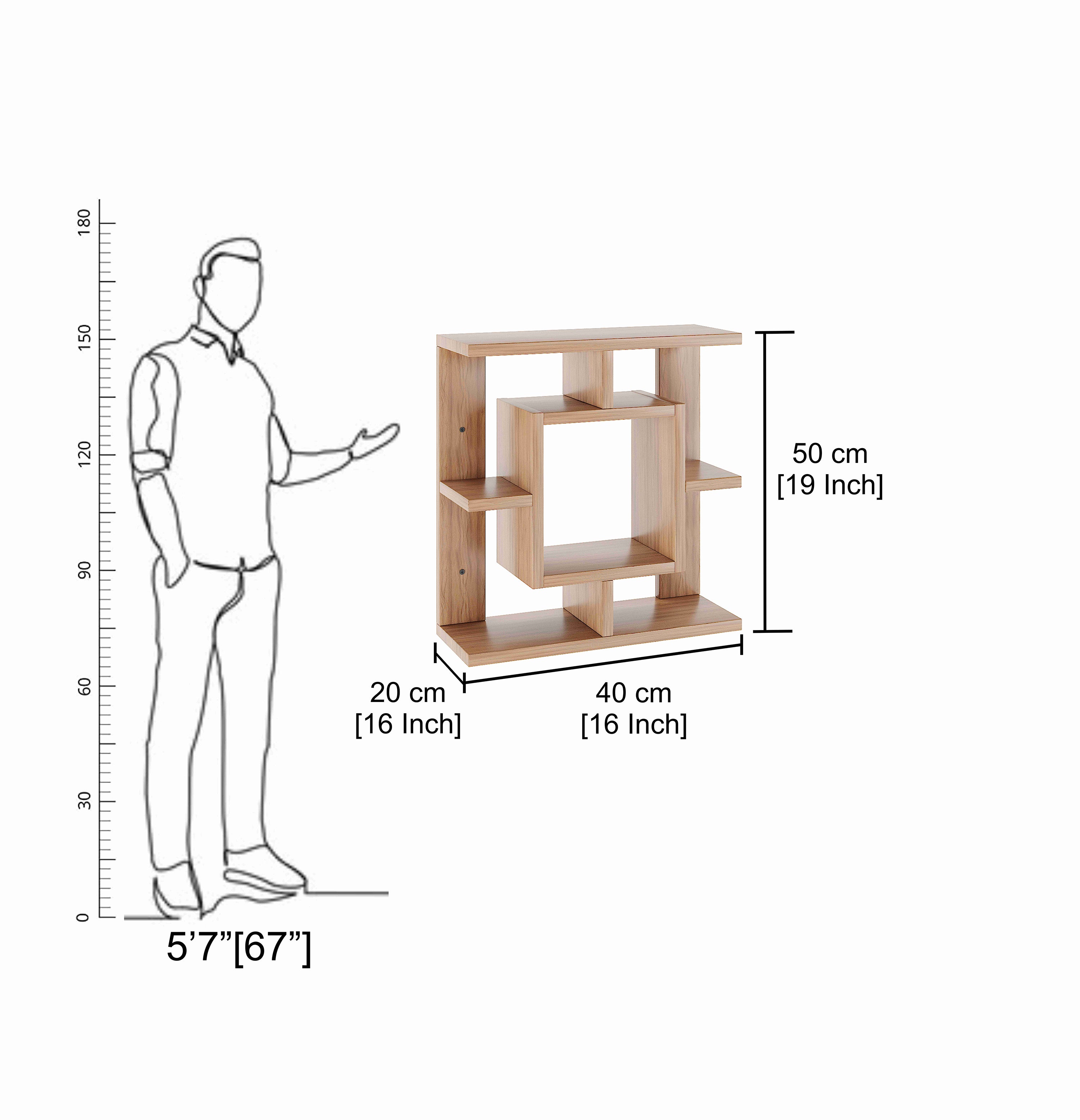 Catwell Multipurpose Wall Shelf Display Rack