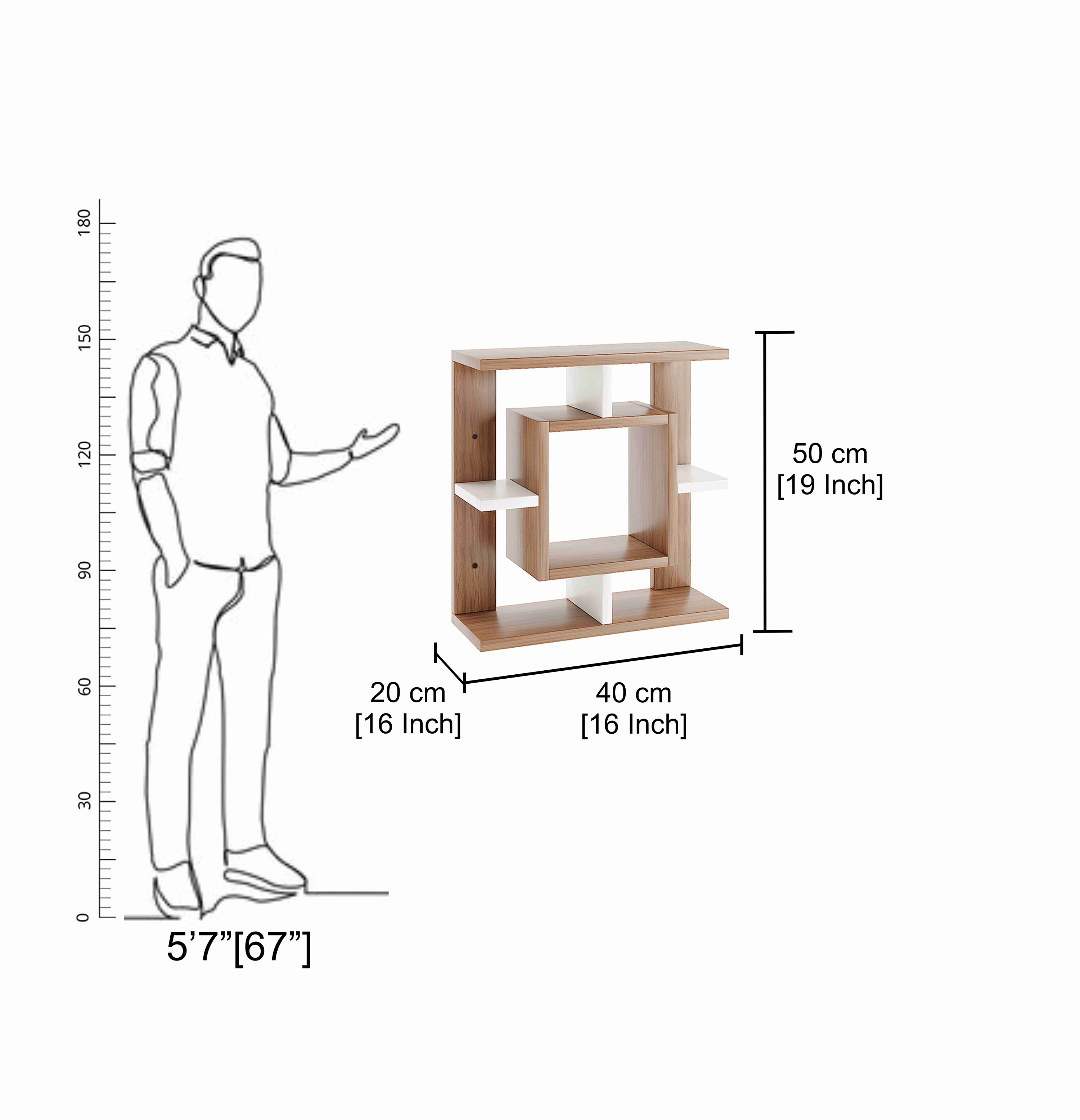 Catwell Multipurpose Wall Shelf Display Rack